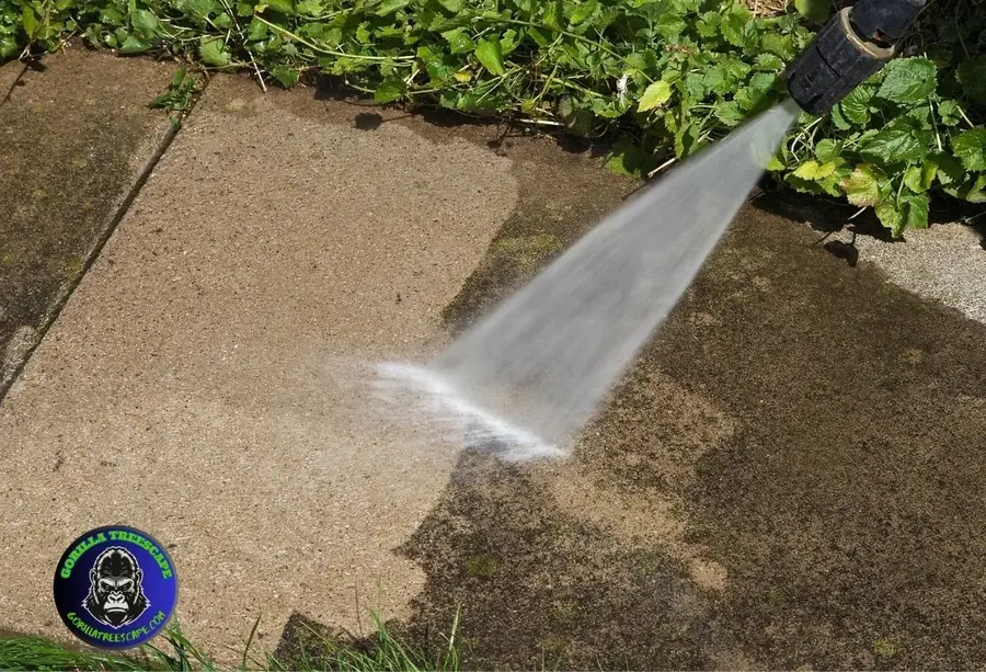 Pressure washing a stained paver next to a planting bed