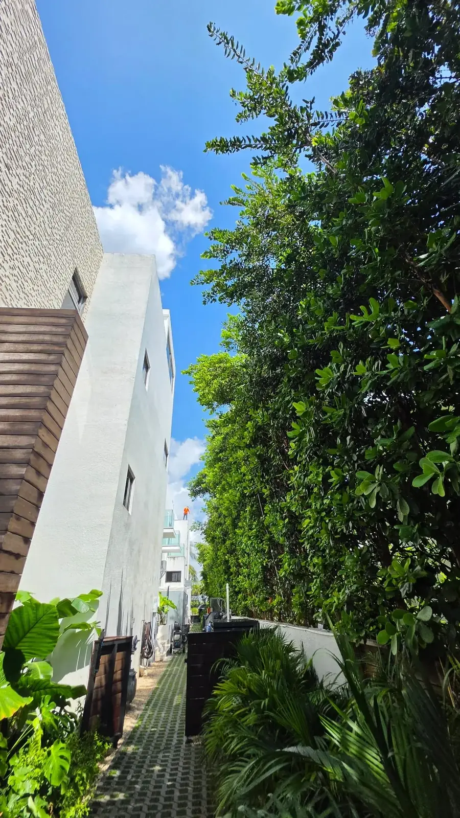 Green wall panels along a white wall behind a modern pergola