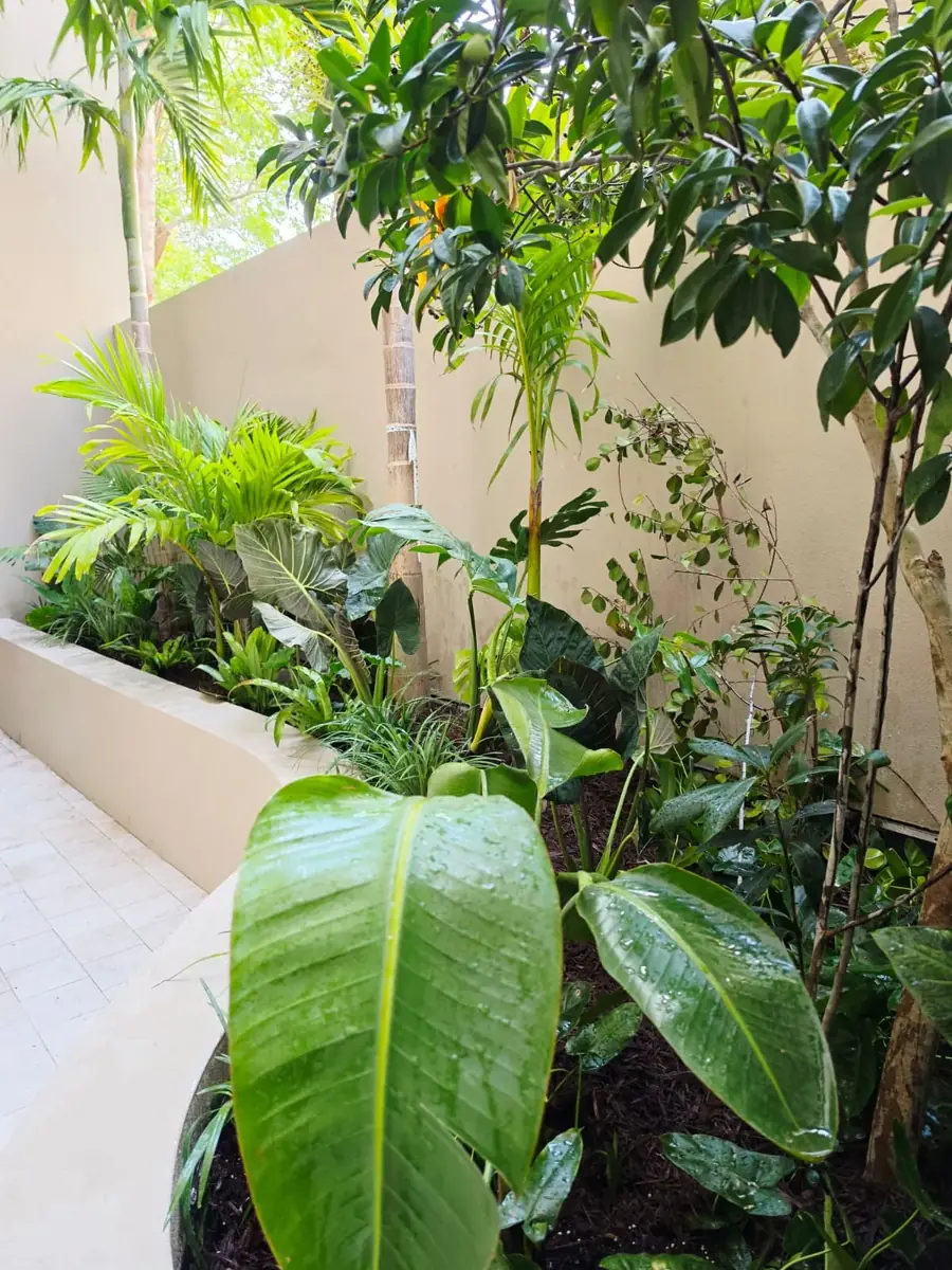Modern garden with lit planters, a small tree and smooth stones
