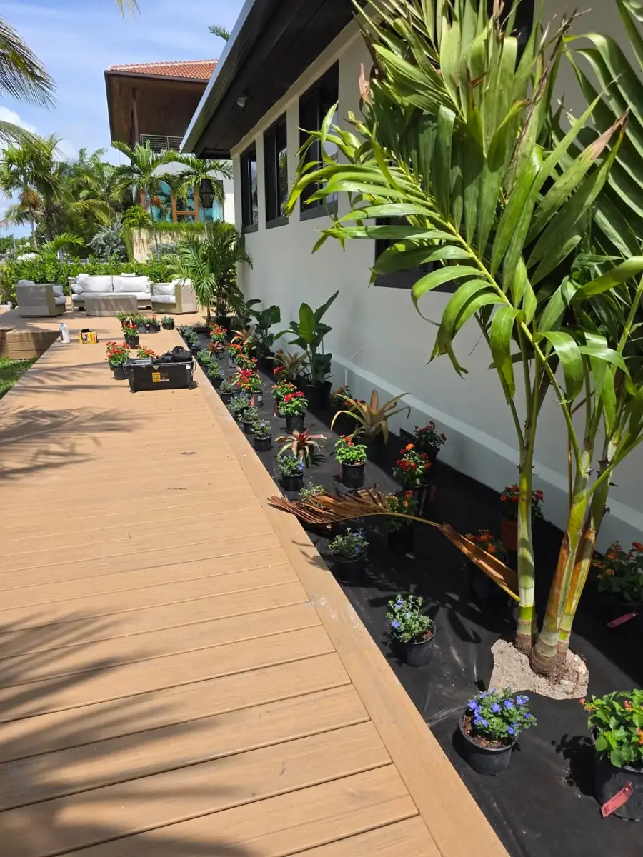 Garden bed with flowering plants lit up at night